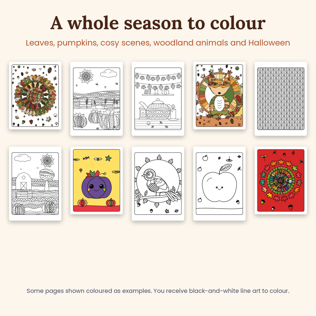 The Autumn Collection