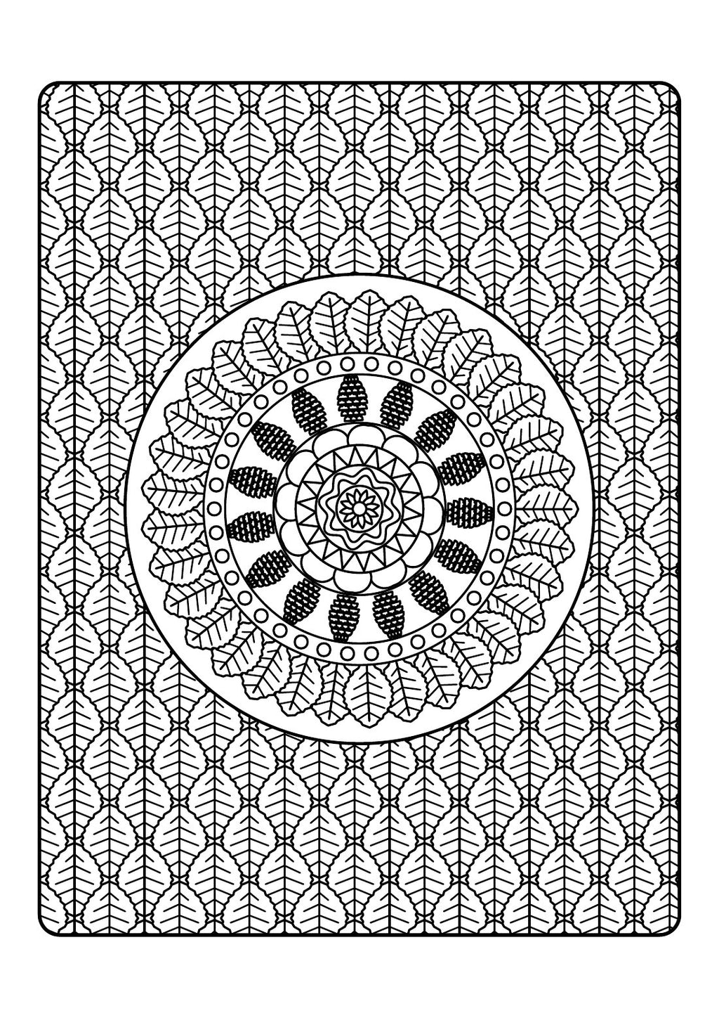 Autumn Patterns
