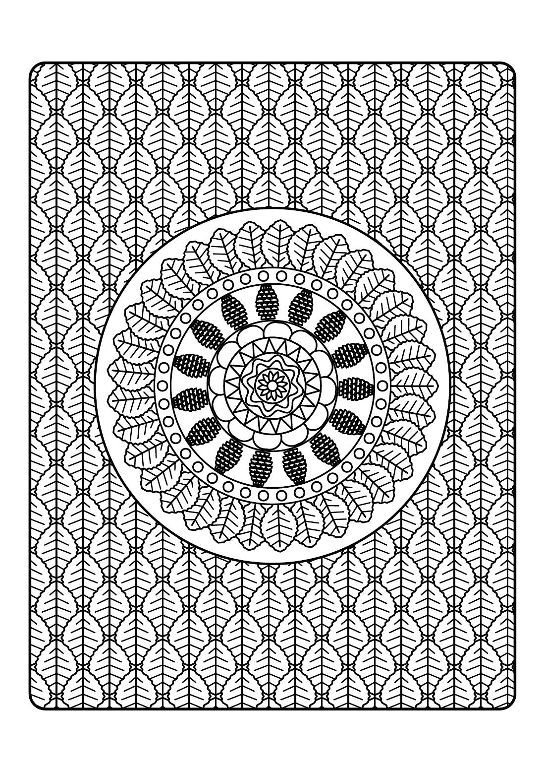 Autumn Patterns