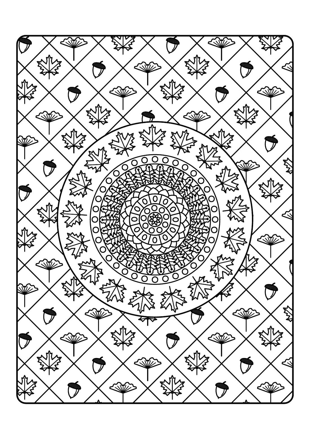 Autumn Patterns