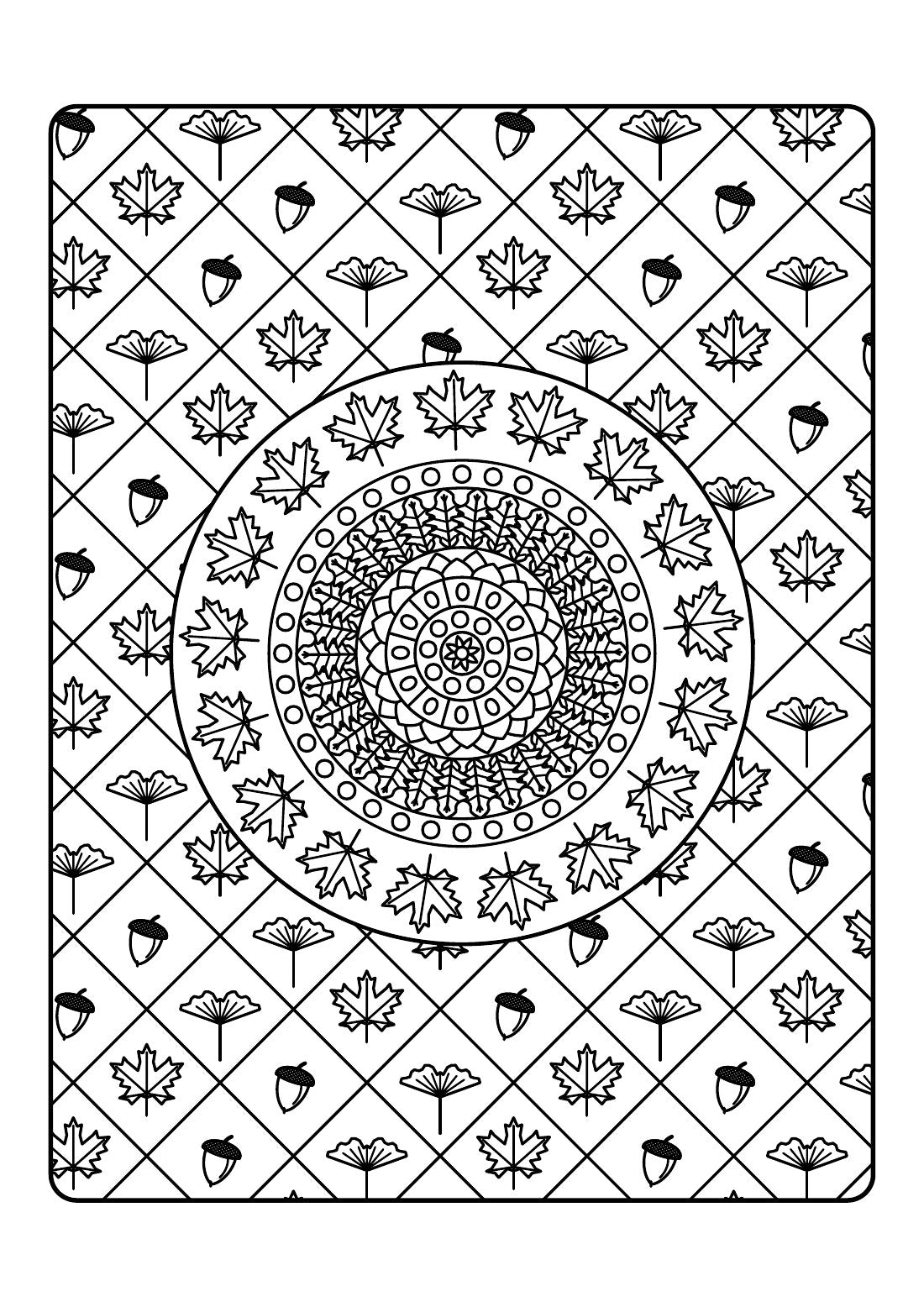 Autumn Patterns