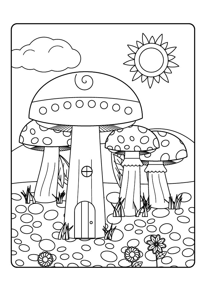 Toadstool Hollow