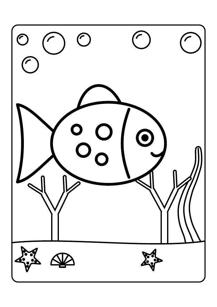 Under the Sea