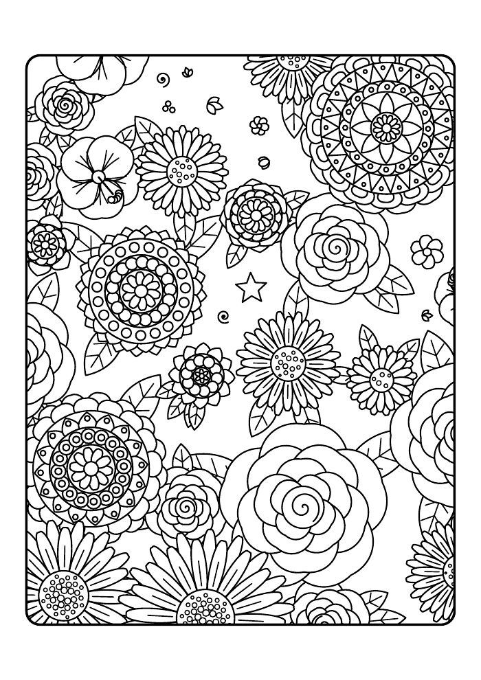 Wildflower Garden
