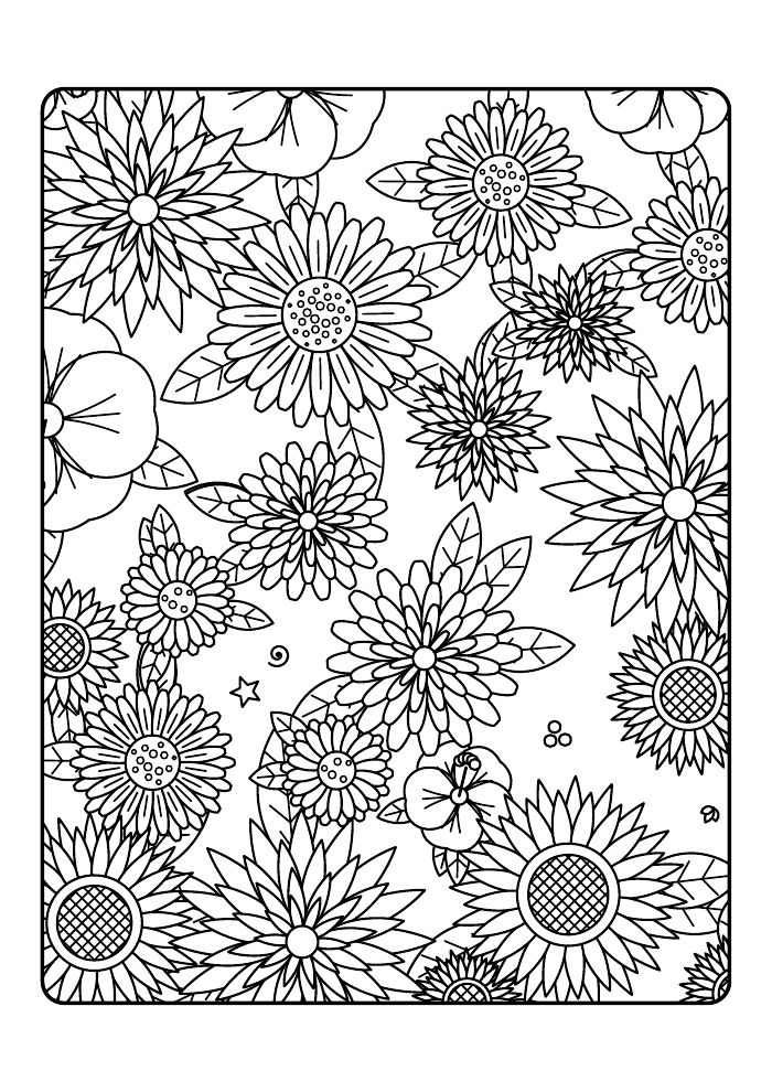 Wildflower Garden