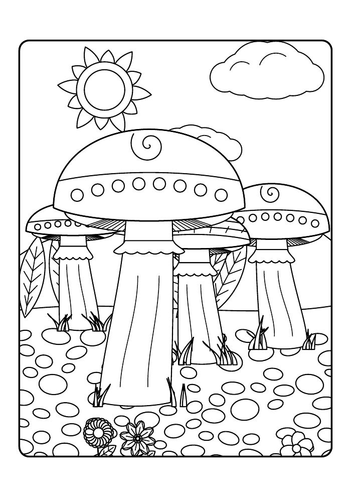 Toadstool Hollow