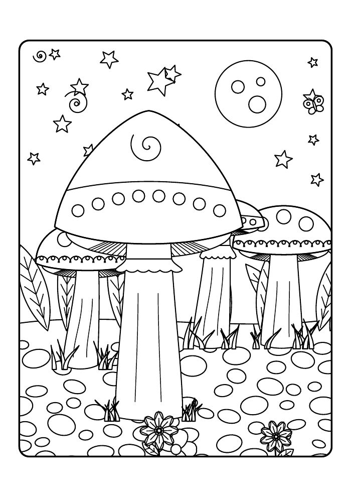Toadstool Hollow