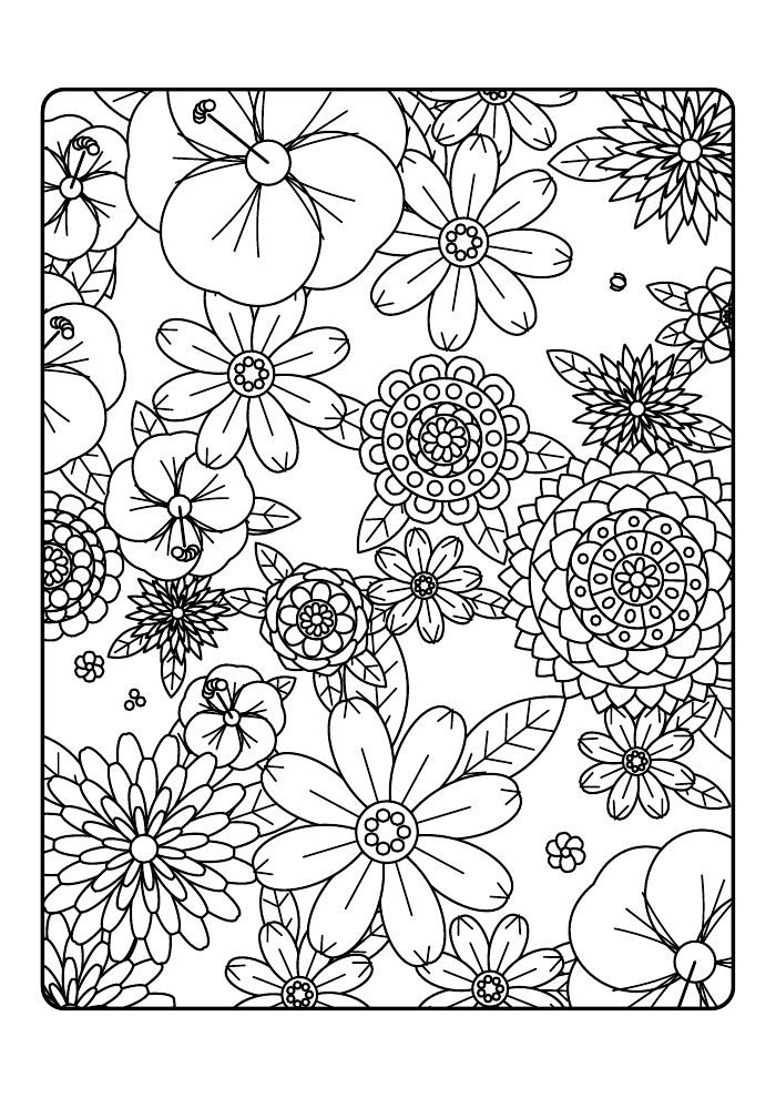 Wildflower Garden