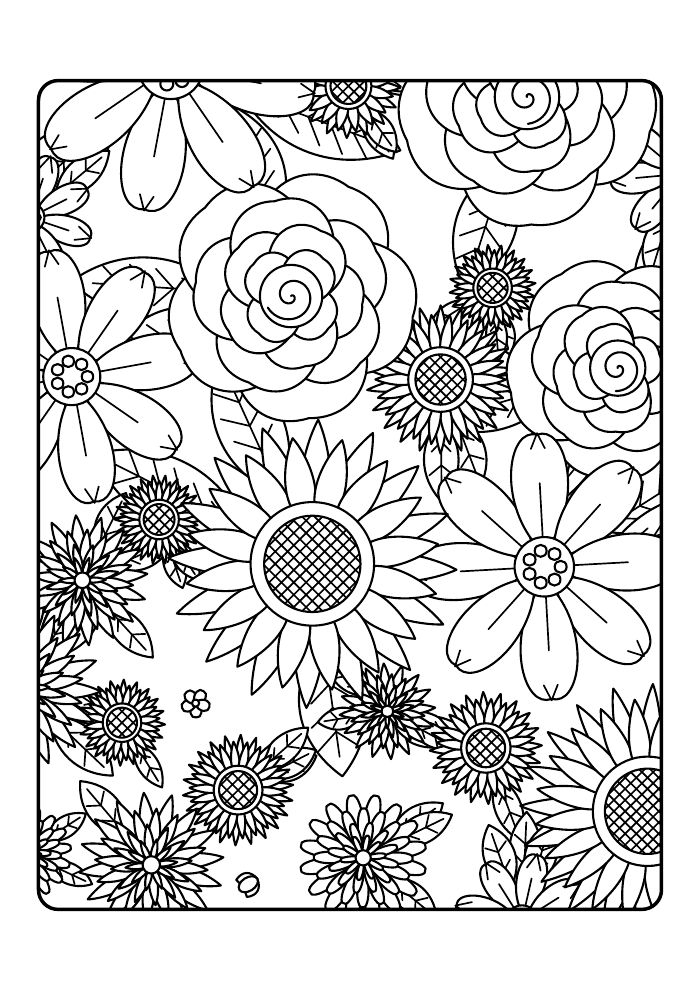 Wildflower Garden