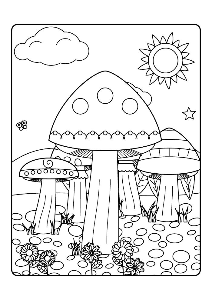 Toadstool Hollow