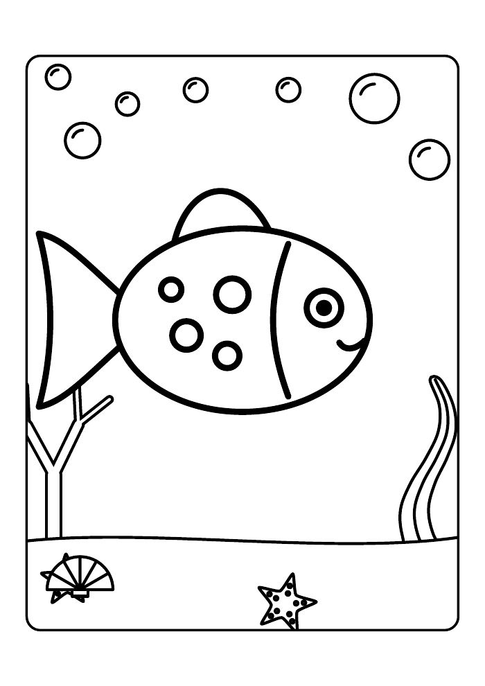 Under the Sea