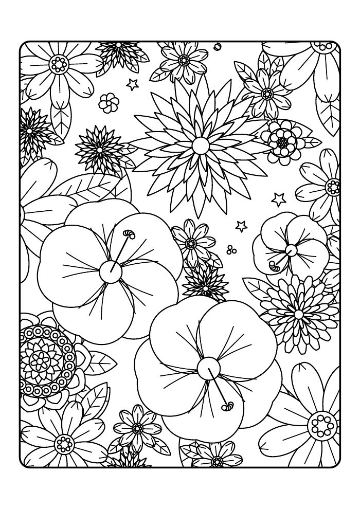 Wildflower Garden